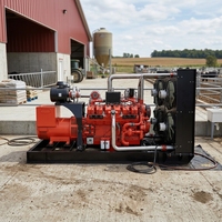 Direktvertrieb 300KW Biogas-Energiegenerator Hocheffiziente Abfall-zu-Energie-Stromerzeugungsanlage für Landwirtschaft, Fabrik und Industrielle Notstromversorgung