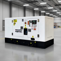 Générateur diesel abordable 20kW 30kW 50kW 100kW triphasé à courant alternatif pour élevages avicoles et bétail