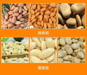 Machine à décortiquer les arachides et les amandes, équipement sûr et fiable pour éplucher les fèves, les lentilles et les pois chiches sur surface humide - Product Image 6