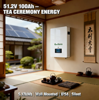 Baterai Lithium 51.2V 48V 100Ah 5kWh untuk Sistem Surya Hibrida yang Dipasang di Dinding