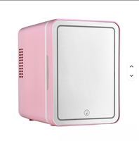 Mini-réfrigérateur pratique en plastique thermoélectrique portable double usage voiture et maison, économie d'énergie, réduction du bruit, 4L, 12V/220V