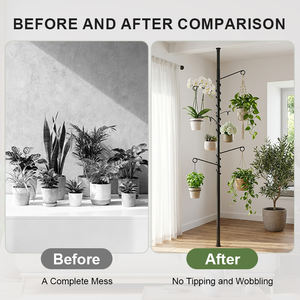 Support <span class=keywords><strong>de</strong></span> plante <span class=keywords><strong>pour</strong></span> fenêtre YIJIALE, support <span class=keywords><strong>de</strong></span> plante en acier <span class=keywords><strong>pour</strong></span> fenêtre, support <span class=keywords><strong>de</strong></span> plante <span class=keywords><strong>pour</strong></span> fenêtre, support <span class=keywords><strong>de</strong></span> plante <span class=keywords><strong>pour</strong></span> fenêtre, support <span class=keywords><strong>de</strong></span> plante <span class=keywords><strong>pour</strong></span> fenêtre, support <span class=keywords><strong>de</strong></span> plante <span class=keywords><strong>pour</strong></span> fenêtre, support <span class=keywords><strong>de</strong></span> plante <span class=keywords><strong>pour</strong></span> fenêtre, support <span class=keywords><strong>de</strong></span> plante <span class=keywords><strong>pour</strong></span> fenêtre, support <span class=keywords><strong>de</strong></span> plante <span class=keywords><strong>pour</strong></span> fenêtre - Product Image 3