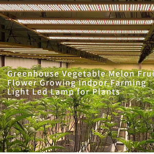 Plateau <span class=keywords><strong>pour</strong></span> pépinière plantes d'intérieur, m, éclairage Led réglable, <span class=keywords><strong>lampe</strong></span> à spectre complet - Product Image 3