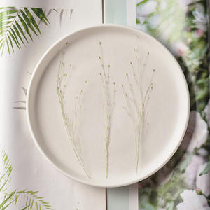 Grama de panicum, artesanato diy, fazer artesanato, planta ecológica, herbílio, pressionado, floral - Product Image 4