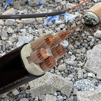 Cable de alimentación de cobre puro estándar nacional 2/3/4/5 Core Cable de alimentación ignífugo de Bajo humo sin halógenos