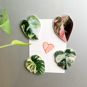 Imanes Acrílicos para Refrigerador con Diseño de Hojas de Plantas, Simulación de Hojas de Princesa Rosadas, Proceso de Goteo de Pegamento de Alta Calidad - Product Image 1