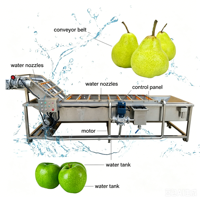 Machine de nettoyage à bulles continu pour abricots, piments secs, poivrons, noix de coco, viande, bananes - Bon prix