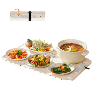 Raybin 2025 Nueva Bandeja Calentadora de Alimentos Plegable y Portátil de 60*40cm con Temporizador de 1-4 Horas, Tapete de Silicona para Alimentos - Product Image 1