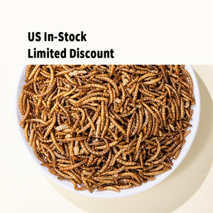 Mealworm umpan serangga (Tenebrio Molitor) -Protein tinggi, aditif-gratis untuk ayam, hamster, reptil & burung liar - Product Image 2