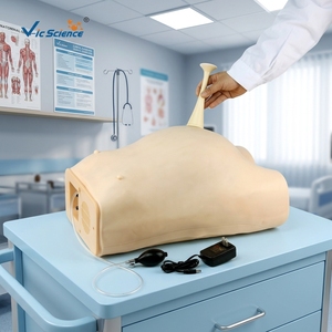 Modelo de Simulación de Embarazo en PVC, Maniquí para Enseñanza Médica, Recurso de Entrenamiento Hospitalario - Product Image 4