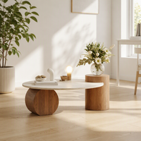 Table basse en bois massif avec accent marbre, design bas, pour salon, petit appartement, décoration de maison d'hôtes
