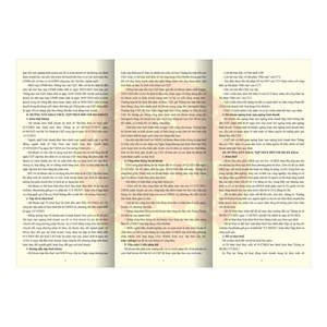 Servicio de impresión personalizado de fábrica de Vietnam para publicidad Folleto de papel plegable y folleto Impresión DE LA EMPRESA Suministro al por mayor - Product Image 4