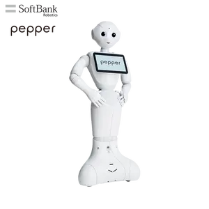 روبوت SoftBank الذكي القابل للبرمجة للفلفل لأبحاث التعليم ، أدوات الترميز المرئي Humanoid STEAM
