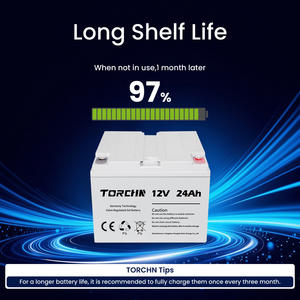 Batería Recargable de Plomo-Ácido VRLA AGM 12V24Ah para Energía Solar Doméstica con Almacenes en África - Product Image 2