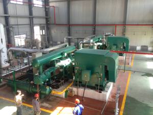 Compresor de gas de motor de aire/nitrógeno de alta eficiencia sin aceite alternativo para hidrotratamiento petroquímico hidrocraqueo CTM CTO - Product Image 5