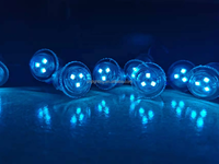 Lampes LED RGB CHJ Carnival Carousel 20mm UCS1903 12V IP65 pour manèges et parcs d'attractions