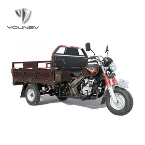 YOUNEV Wholesale Customization 150CC 12V Farm Used Cargo Motorcycle 3 Wheel Gasoline Tricycle For Adult