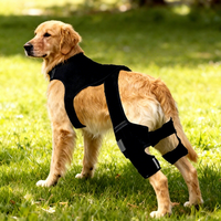 Attelle de soutien pour genou de chien en néoprène avec sangles pour la récupération des blessures et le soulagement de l'arthrite, adaptée aux chiens de taille moyenne à grande