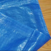 Bâche bâche en plastique bâche PE avec bâche PE robuste enduite