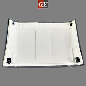 Fiber de verre VX220 STYLE HARDTOP W. SUPPORT POUR 01-11 LOTUS <span class=keywords><strong>ELISE</strong></span> S2 10-13 EXIGE - Product Image 4