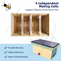 Boîte de reproduction de reines en bois multicolore avec 4 compartiments pour l'élevage national des abeilles
