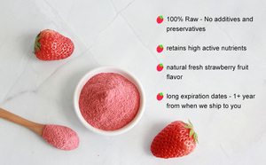 100% naturale sapore di fragola in polvere biologico liofilizzato fragola frutta in polvere - Product Image 3