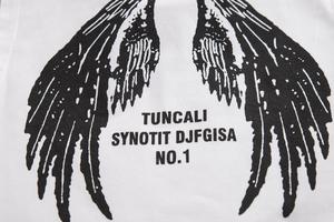 Conjunto de Ropa Deportiva de Algodón para Niños Pequeños, Camisetas de Manga Corta y Pantalones para Niños, Venta al por Mayor - Product Image 4