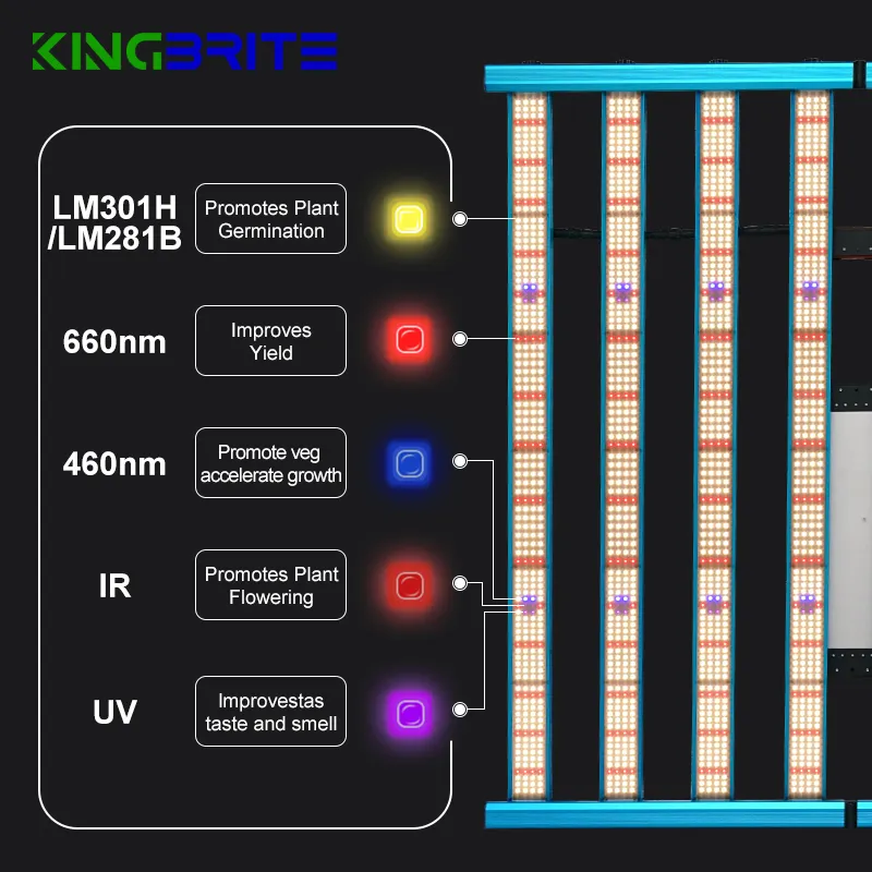 卸売KingBrite 800WLEDグローライトSamsungLM301Hミックス660nmUVIRロイヤルブルー460nmフルスペクトルプラントLEDグローライト