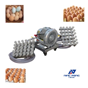 Sollevatore per uova a vuoto da 30 pezzi, tipo fisso, prodotto in Cina, buona reputazione, uso comune, standard UE - Product Image 5