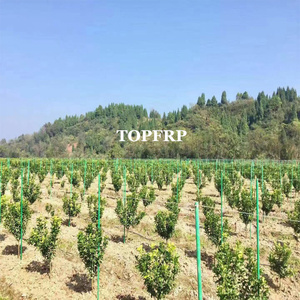 Estacas de Fibra de Vidrio de Alta Resistencia para Árboles, Postes de Soporte para Invernaderos, Varas para Plantas Trepadoras de Jardín y Vivero - Product Image 5