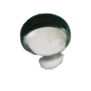 Bolsa Jumbo de bicarbonato de sodio USP/BP grado 25kg 1000kg Producción de grado farmacéutico de bicarbonato de sodio