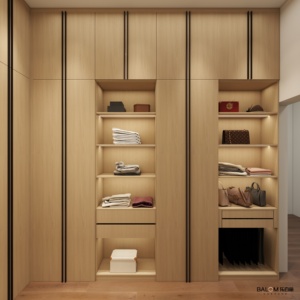 Balom Tùy Chỉnh Thiết Kế Bé Closet Kids Tủ Quần Áo Gỗ Hiện Đại Tủ Quần Áo Cho Trẻ Em - Product Image 2
