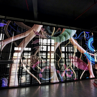 Écran mural LED transparent mince, installation facile, aucun cadre en acier requis, affichage publicitaire pour vitrine de magasin de détail