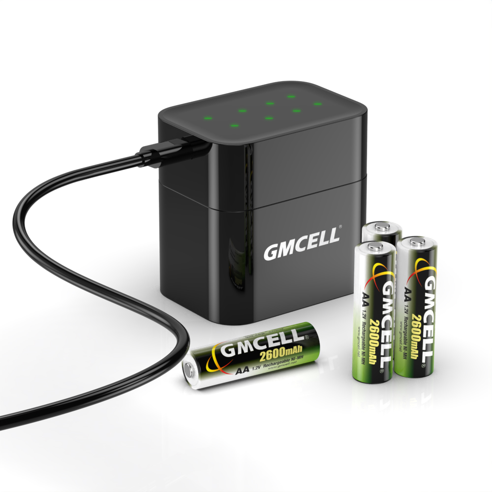8 Solt Hybrid Smart Charger