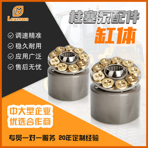 Pièces de pompe à piston hydraulique Shangze : bloc-cylindres avec pistons, patins et plaque de distribution pour remplacement de pompe axiale - Product Image 4