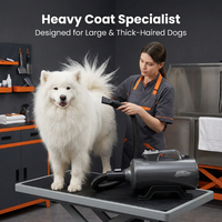 Sèche-cheveux professionnel Shernbao DHD-2400T 2400W à double moteur, personnalisable, pour animaux de compagnie (chiens et chats), directement de l'usine