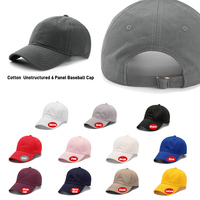 Nieuwe zonnebeschermende geborduurde baseballpet met grote rand Modieuze en retro wasbare baseballpet voor buitenactiviteiten
