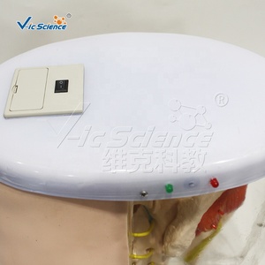 Simulateur d'<span class=keywords><strong>injection</strong></span> <span class=keywords><strong>intramusculaire</strong></span> fessière semi-transparent grandeur nature avec repères osseux palpables pour l'enseignement infirmier CE ISO ROHS CNAS - Product Image 6