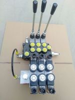 Katup Multi Arah Hidrolik Katup Kontrol Arah Distributor Hidrolik Katup Hidrolik untuk Silinder Oli, tunggal dan ganda