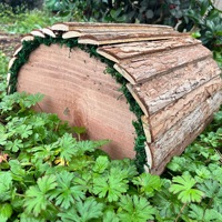 Maison en bois pour hamsters, abri naturel pour hamsters syriens, hamsters nains, cochons d'Inde, souris et petits animaux domestiques
