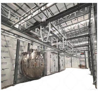 CE 500kg 60m² Vacuümvriesdroger Lyofilisator Vriesdroogmachine voor groenten, fruit en chips