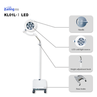 Chirurgie Dentaire Phare Lumière Chirurgicale Led Shadowless Chirurgie Médicale Led Lumière Opératoire pour Examen