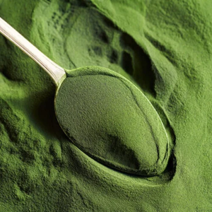 Poudre d'algues vertes biologiques Chlorella Vulgaris de qualité alimentaire, ingrédient superalimentaire naturel premium pour compléments alimentaires et smoothies - Product Image 3