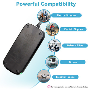 Chargeur de batterie Lipo C120 CE FCC36V 3A 48V 2A Vélo électrique Scooter E-Bike <span class=keywords><strong>Moto</strong></span> 54.6Volt Chargeur de batteries - Product Image 6