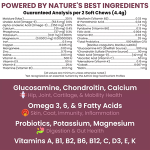 อาหารเสริมสำหรับสุนัขยี่ห้อ Petop OEM/ODM ช่วยลดกลิ่นปัสสาวะ ด้วยสาร DL-MENTHIONINE ป้องกันหญ้าไหม้ ลดจุดเหลือง ช่วยรักษาความเขียวของหญ้า - Product Image 4