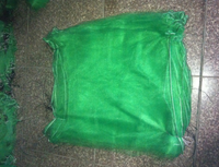 China Factory Green Data Palm Fruit Verpakking Hdpe Monofilament Netje
