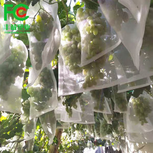 자외선 저항 흰색 졸라매는 끈 과일 보호 가방 포도 커버 메쉬 가방 - Product Image 2