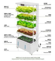 Pot de fleurs en plastique irrigation intelligente automatisée systèmes hydroponiques commerciaux système hydroponique vertical pour cultiver des légumes
