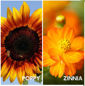 Assortiment de 6 pots de fleurs carrés et de jardinières de base pour le sol de jardin à la maison pour les fleurs artificielles et les jardinières <span class=keywords><strong>en</strong></span> <span class=keywords><strong>pot</strong></span> - Product Image 2