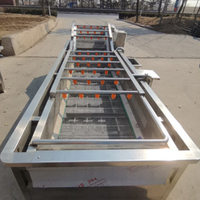 Bellenwasmachine voor fruit en groenten, industriële fruitwasser voor aardappel, knoflook, dadels en verse productenfabrieken